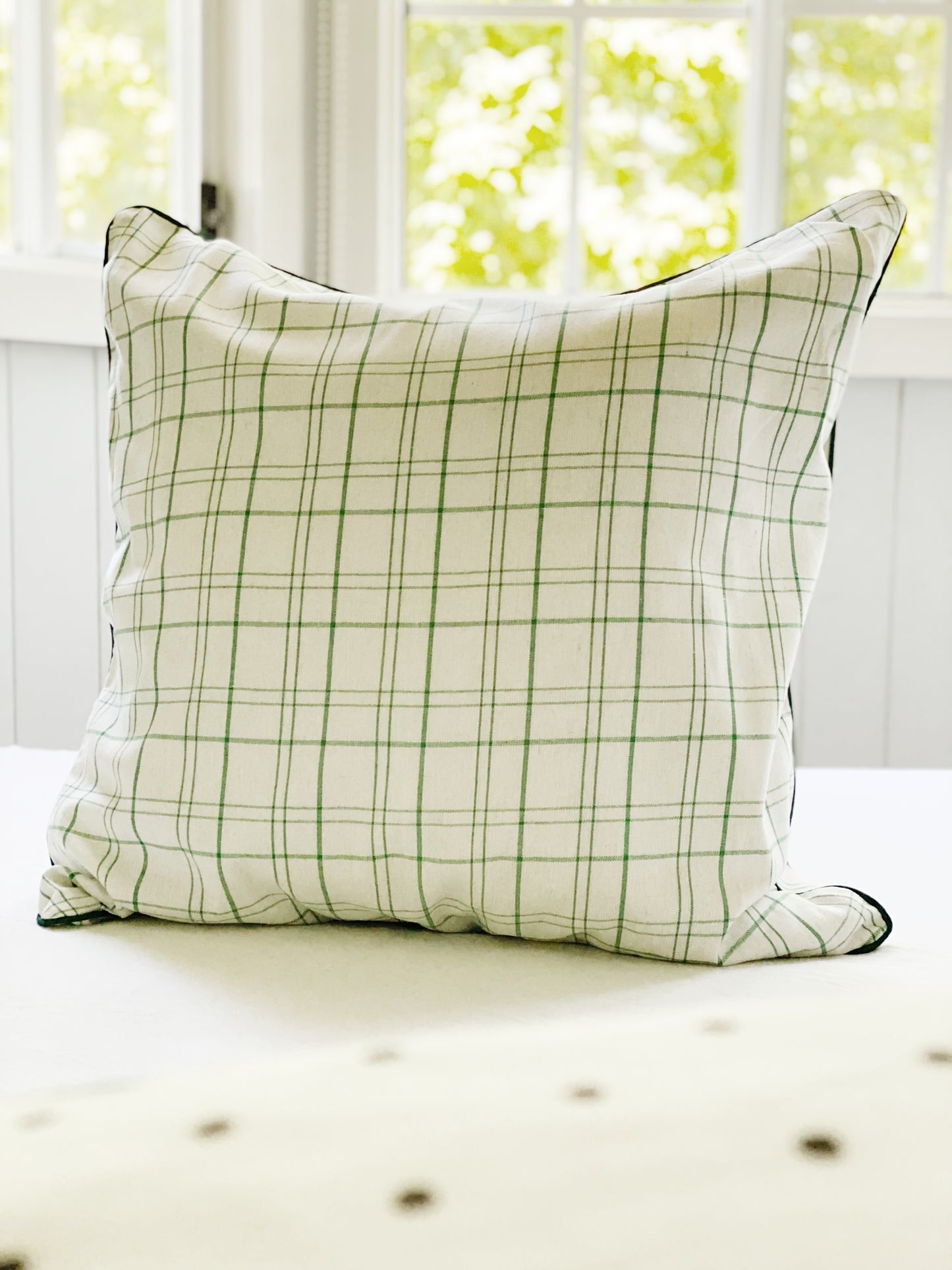 Sea Moss Green Coastal Plaid Check Euro Cushion Cover