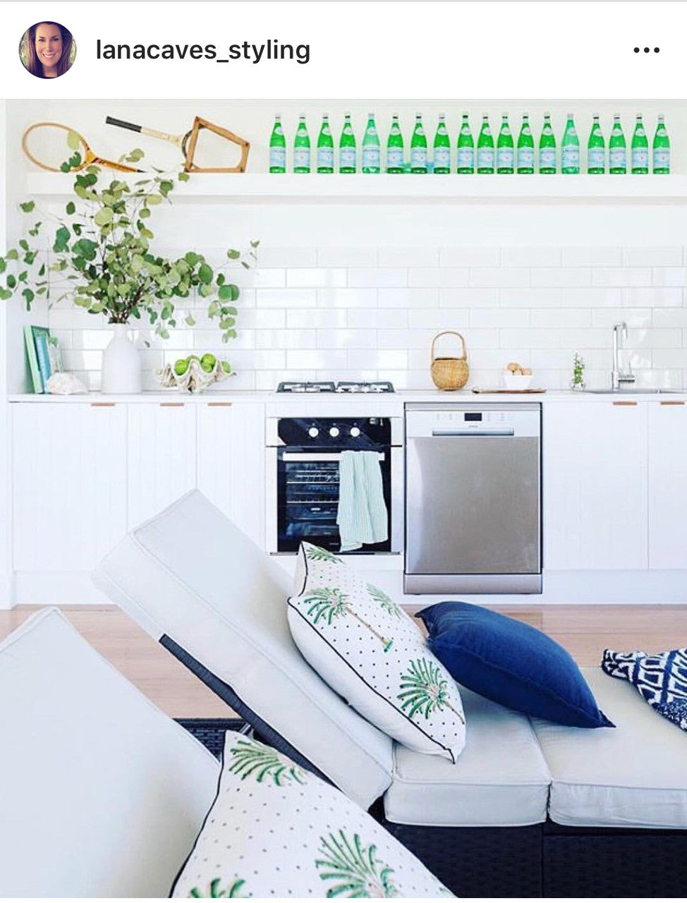 Polka Dot Palm Euro Cushion Cover